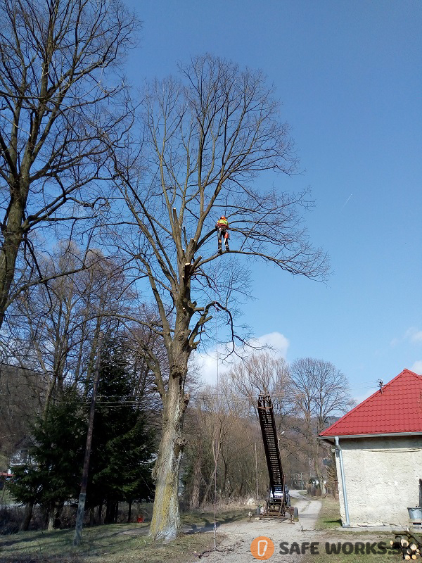 postupne spilovanie rizikoveho stromu pomocou vyskovych prac za pomoci lanovej techniky
